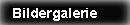 Bildergalerie